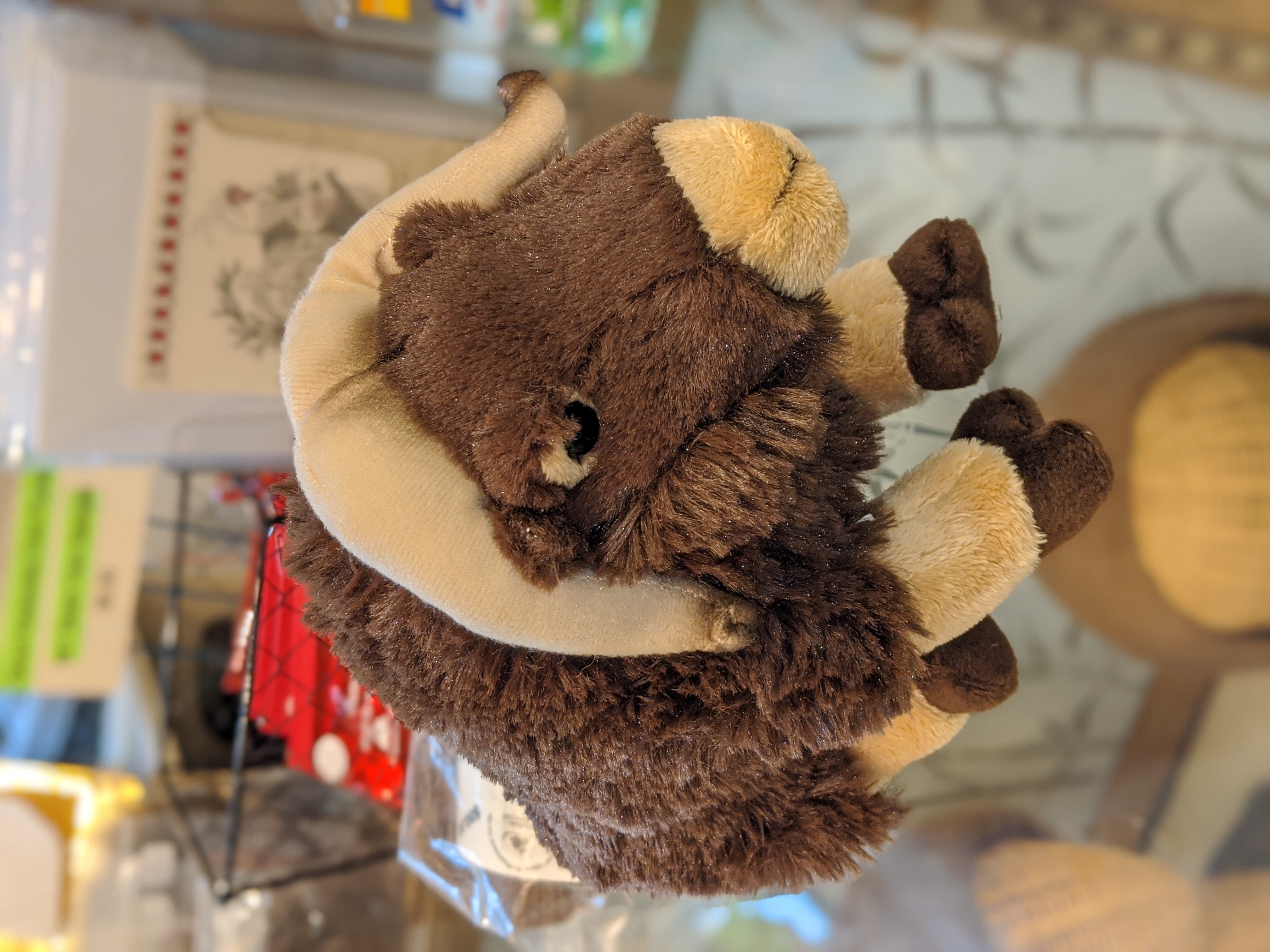 Stuffed Musk Ox (click to enlarge)